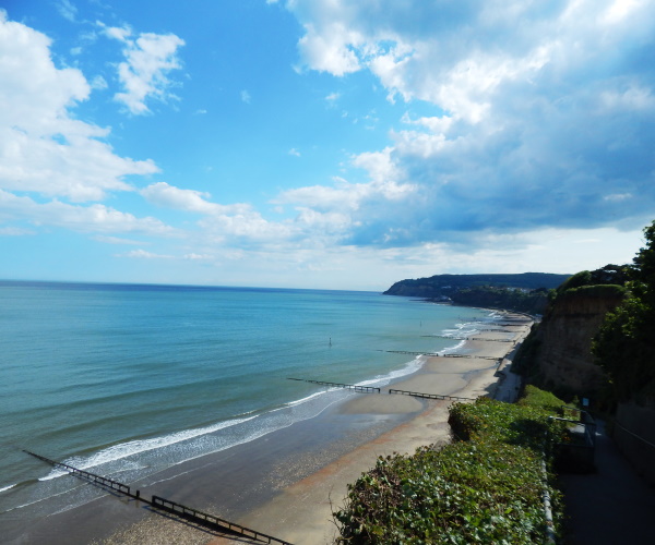 Shanklin view from coastal path-2